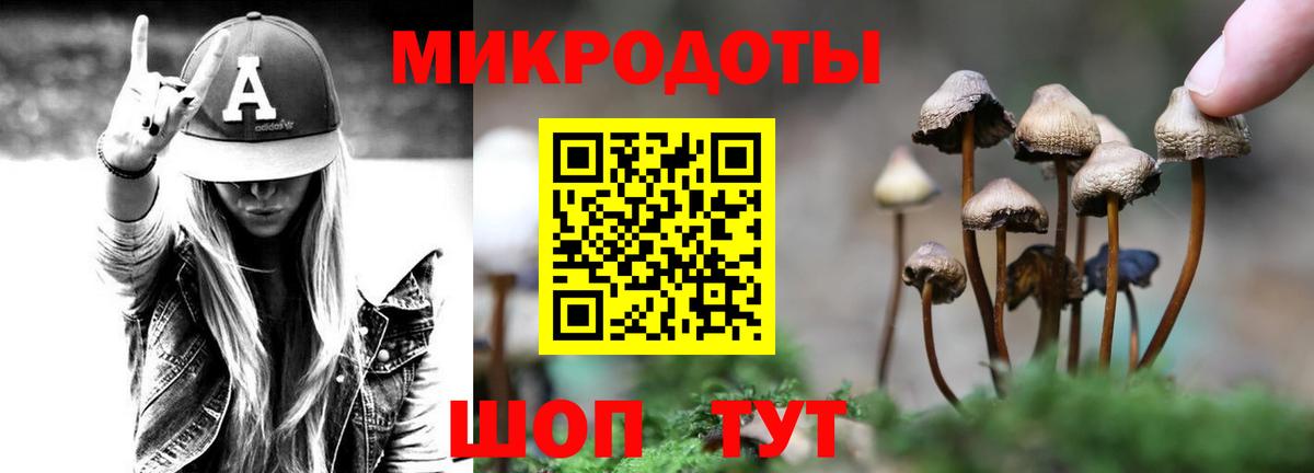 Псилоцибиновые грибы Cubensis Саратов